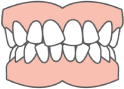 Success Orthodontics - Teeth icon