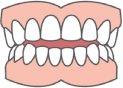 Success Orthodontics - Teeth icon